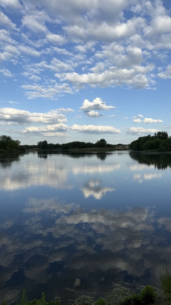 Photograph by Елена Гущина