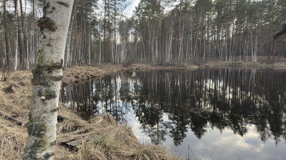 Photograph by Елена Гущина