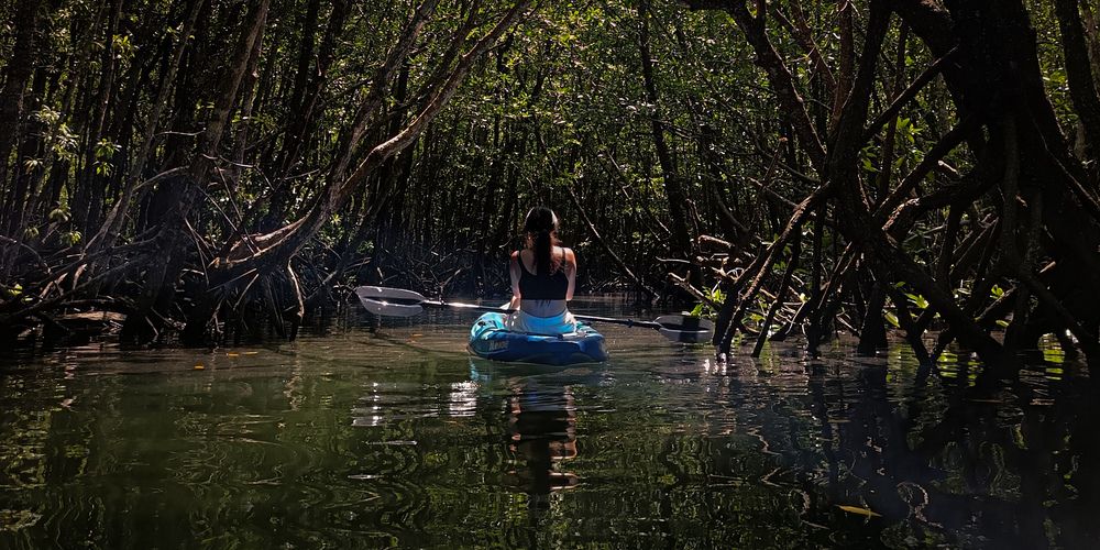 Photograph by ALEXANDER FERDINAND