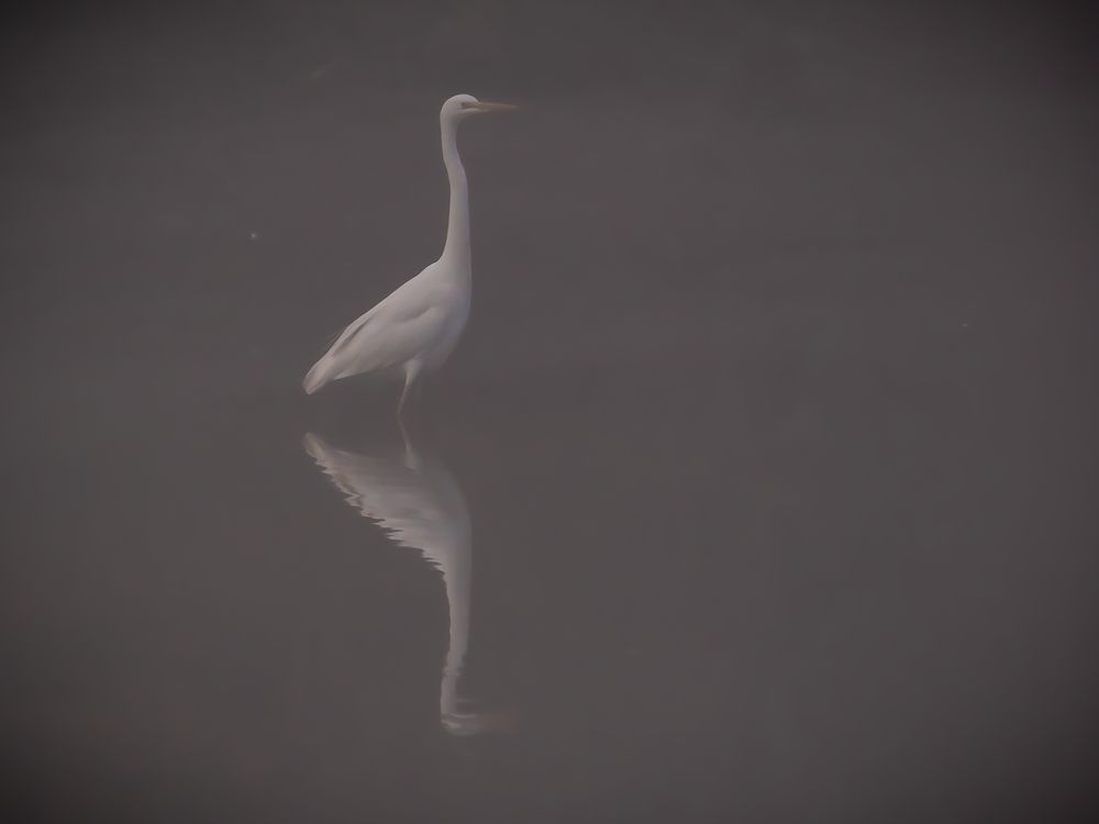 Photograph by Andrea Barlotti