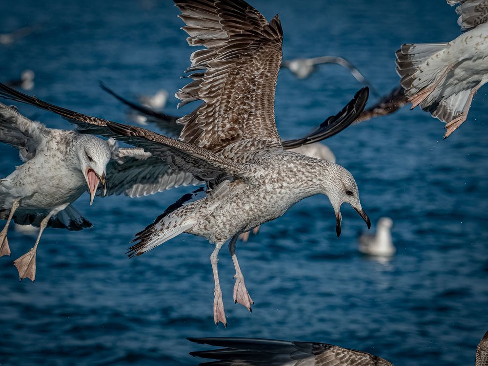 Photograph by Andrea Barlotti