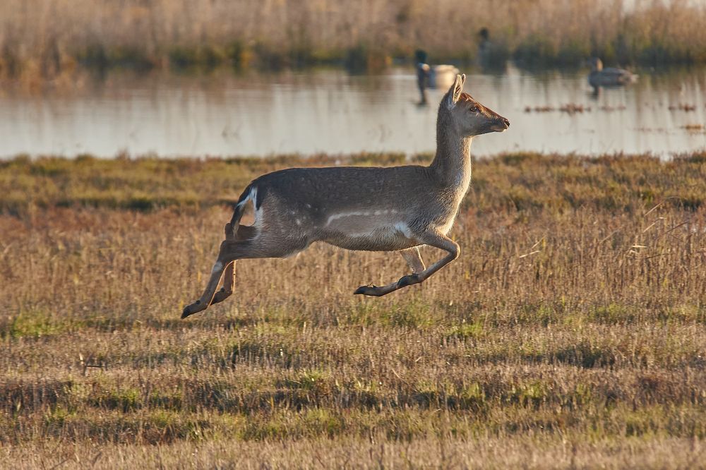 Photograph by Andrea Barlotti