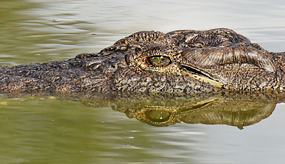 Photograph by Marjo Steffen