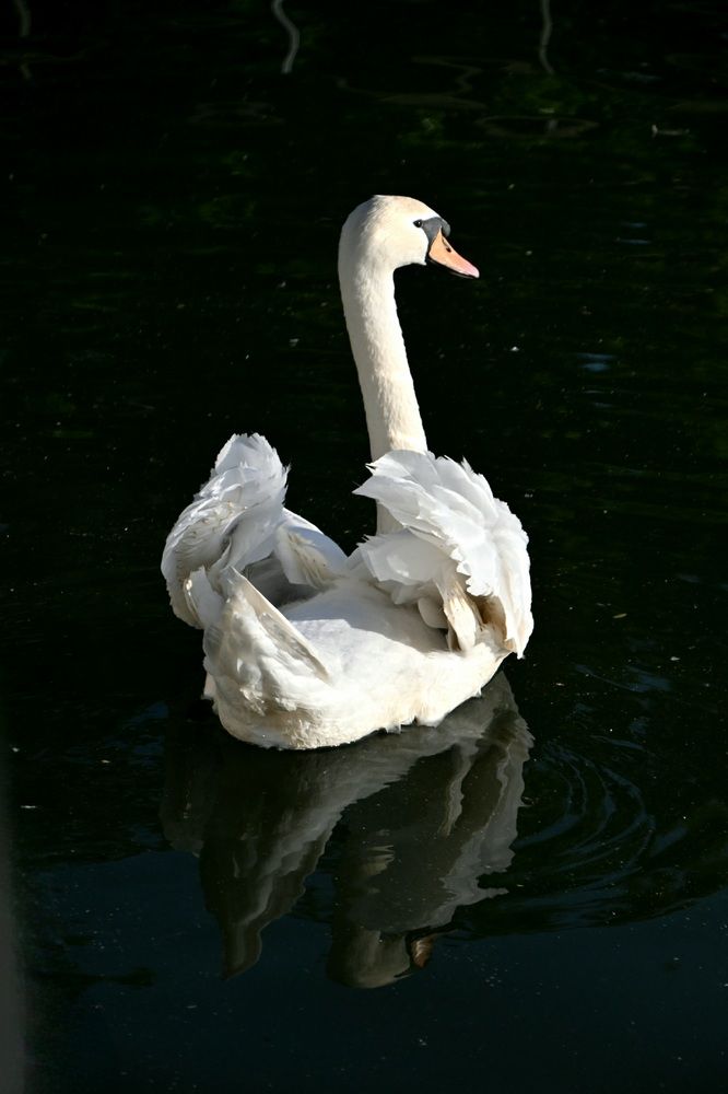 Photograph by Егор Жук