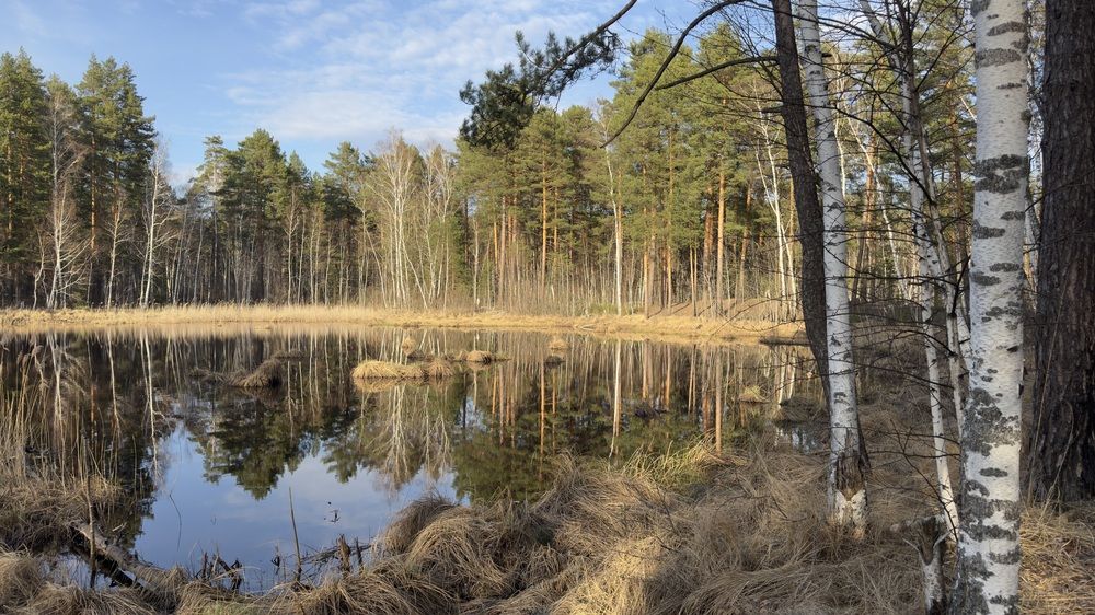 Photograph by Елена Гущина