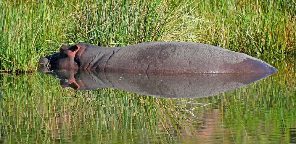 Photograph by Marjo Steffen