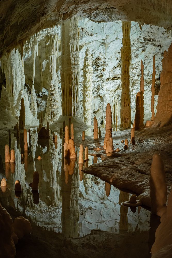 Photograph by Andrea Barlotti