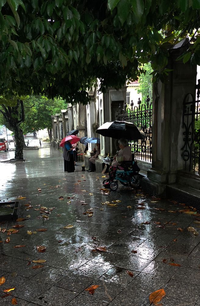 Photograph by владимир хухунаишвили