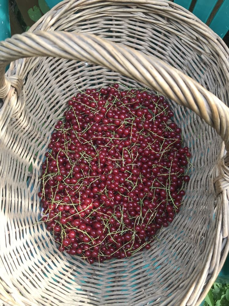 Photograph by Надежда Ткаченко