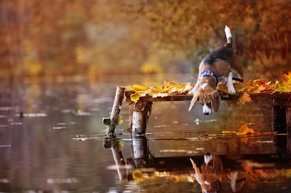 Photograph by Сергей