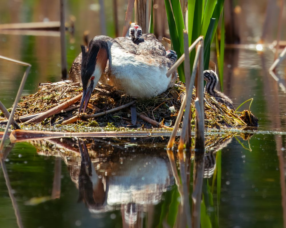 Photograph by Екатерина Дубровская