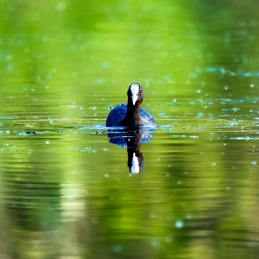 Photograph by Екатерина Дубровская