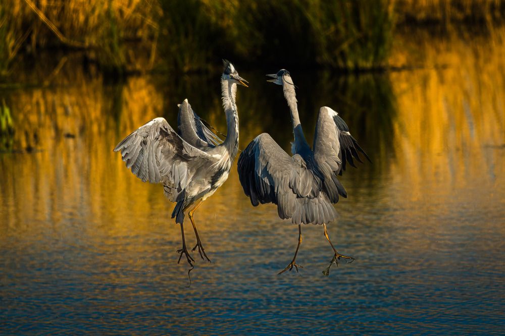 Photograph by Lance Chennault