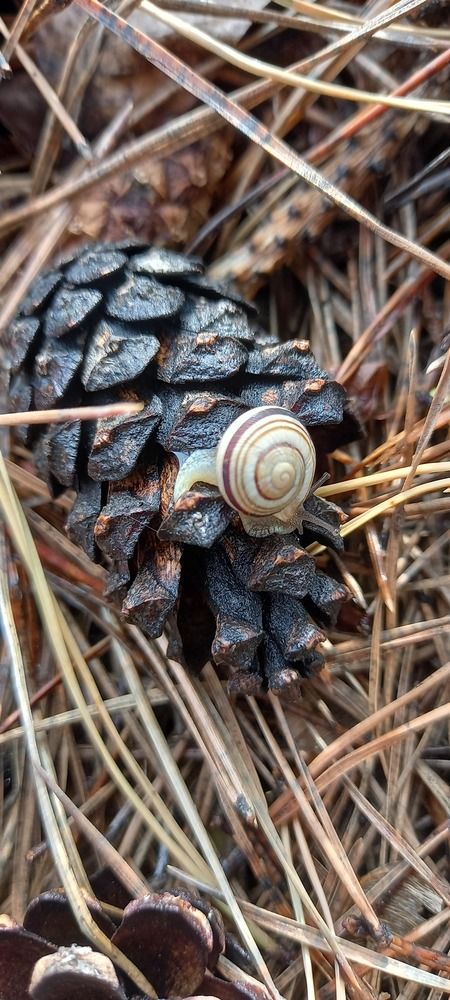 Photograph by Наталья Киселёва