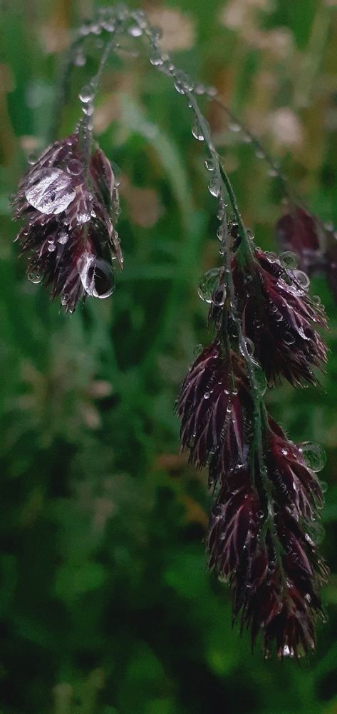 Photograph by Евгения Ульянова