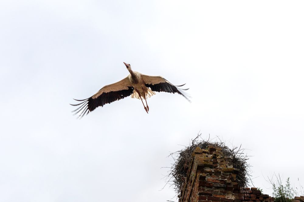 Photograph by Олег Крец