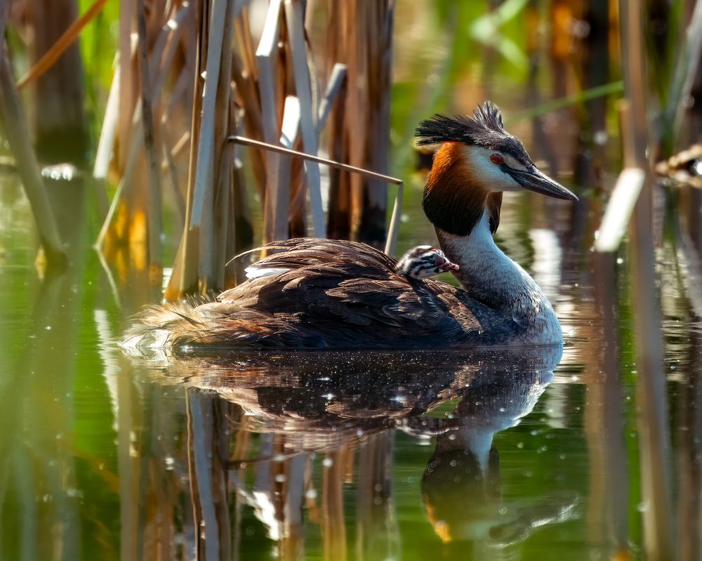 Photograph by Екатерина Дубровская