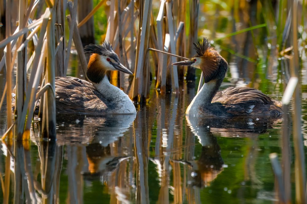Photograph by Екатерина Дубровская
