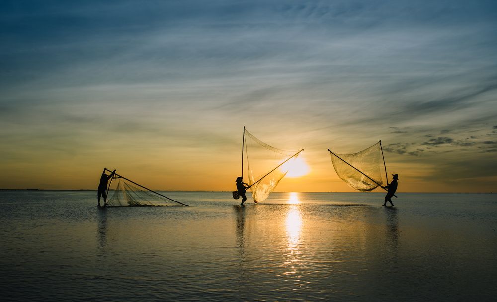 Photograph by anduc nguuyen