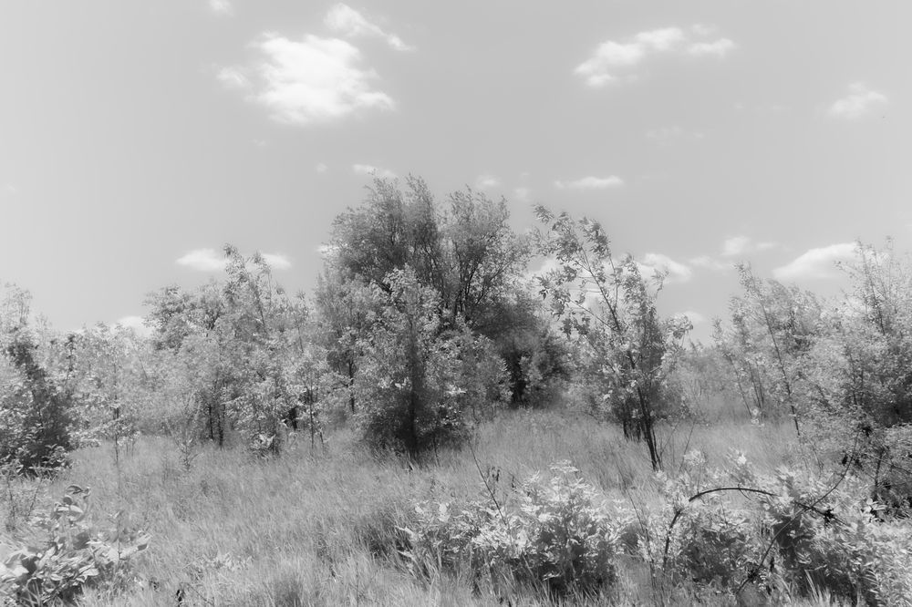 Photograph by Валентина Михайлова