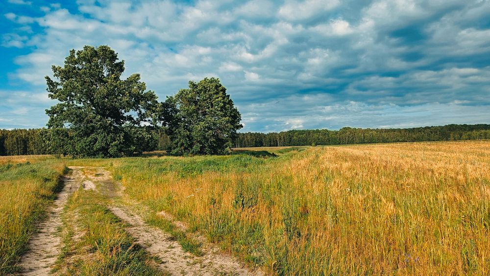 Photograph by Александр Лемешков