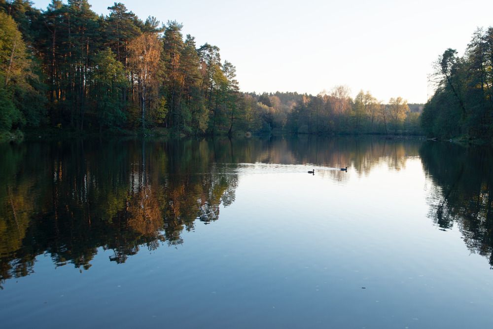 Photograph by Светлана Зайкова