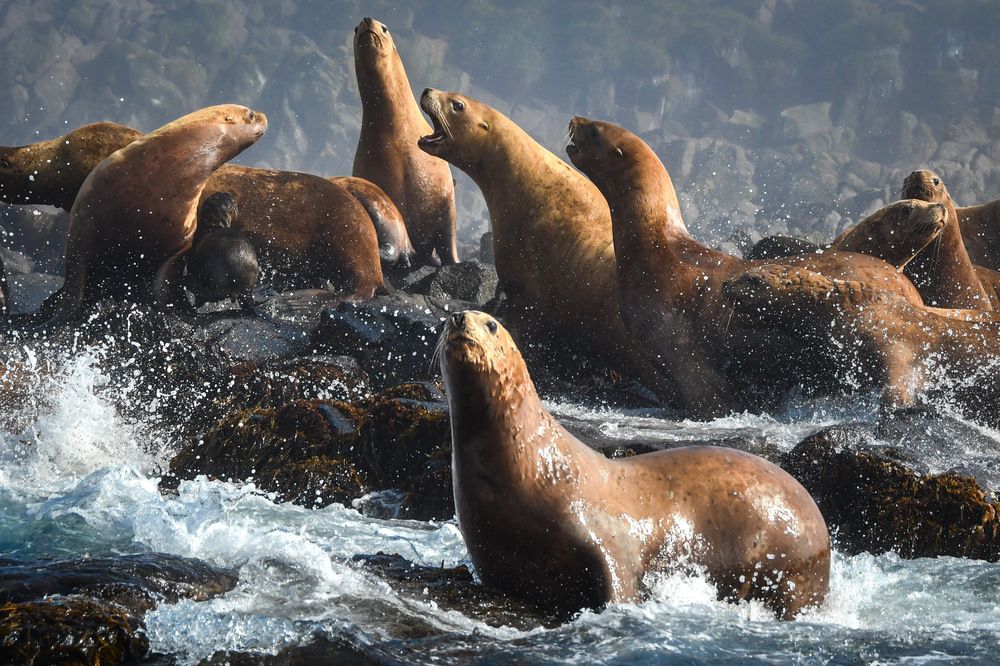 Photograph by Вячеслав Косенков
