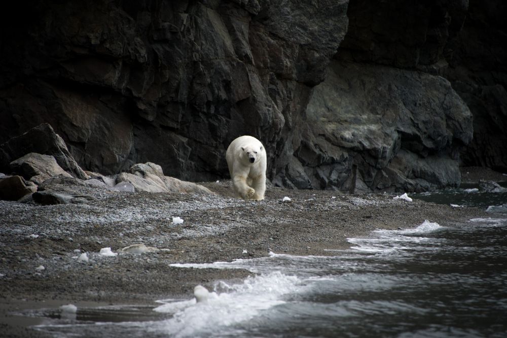 Photograph by Вячеслав Косенков