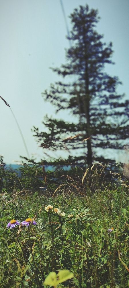 Photograph by Артём