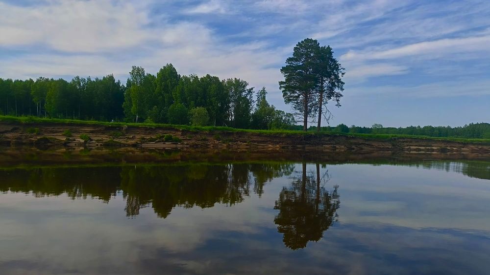 Photograph by Светлана Смирнова (Гридюшко)
