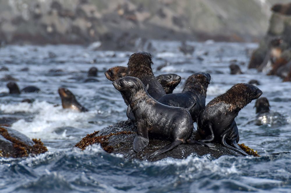 Photograph by Вячеслав Косенков