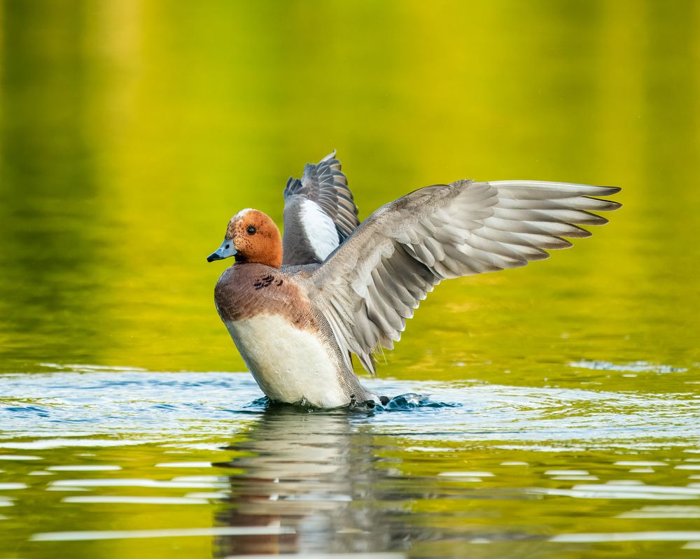 Photograph by Екатерина Дубровская