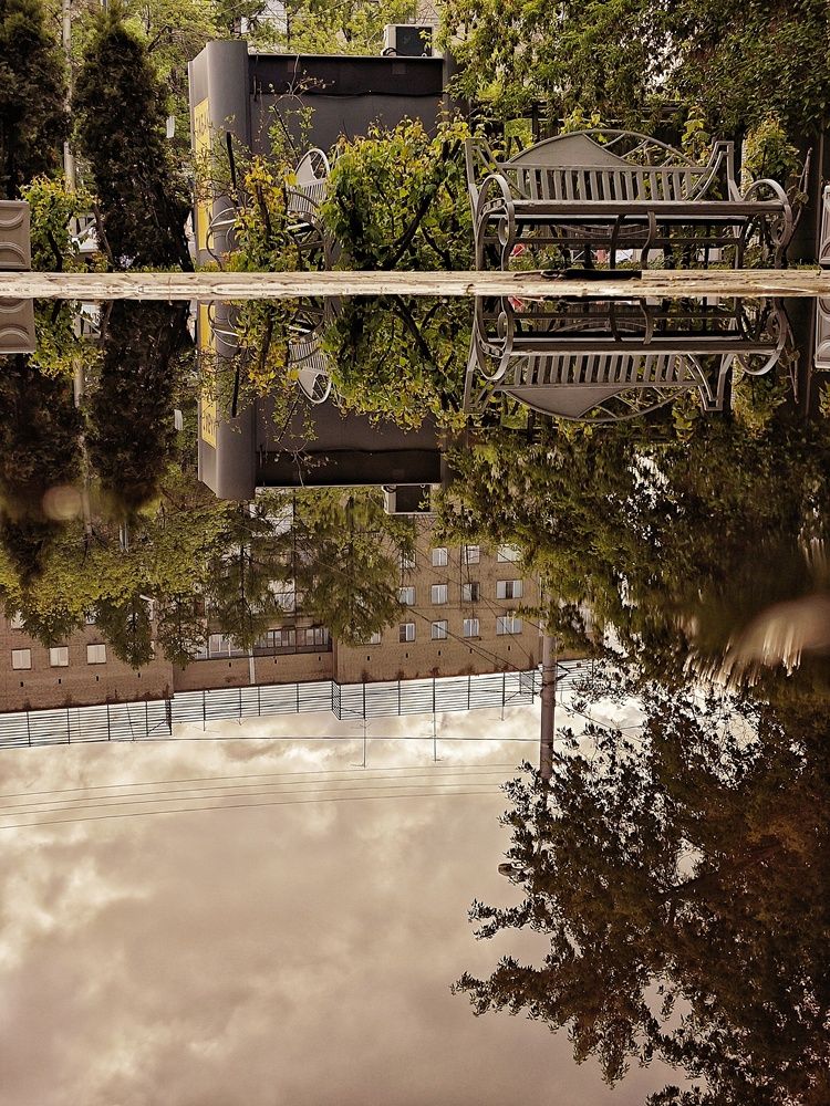 Фотография автора Евгения Владимировна