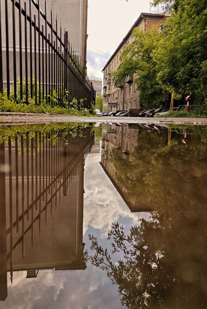 Фотография автора Евгения Владимировна