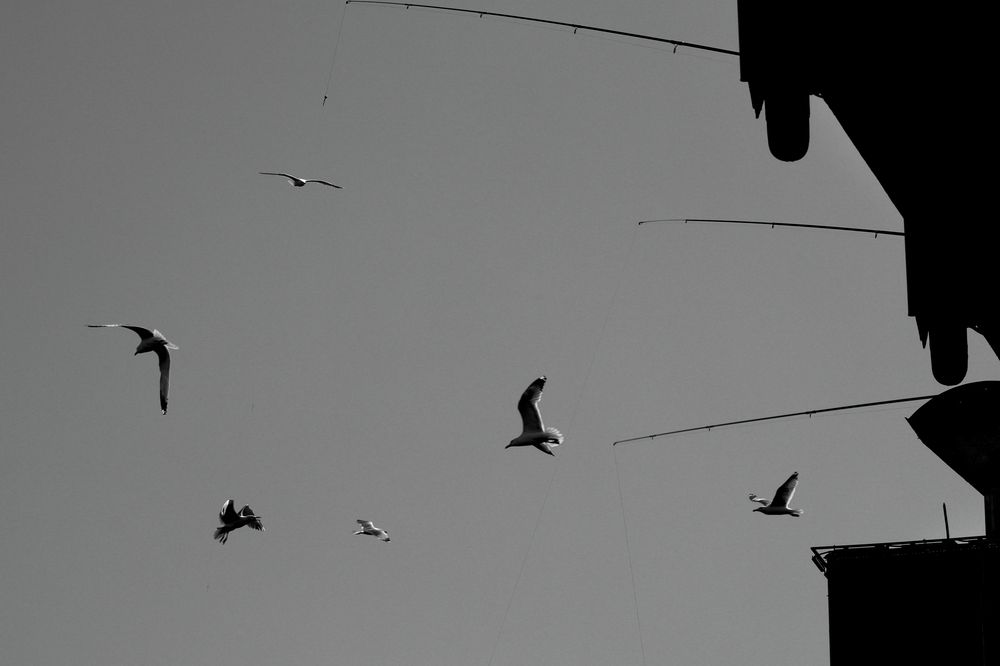 Photograph by Ernest Spiteri Gonzi