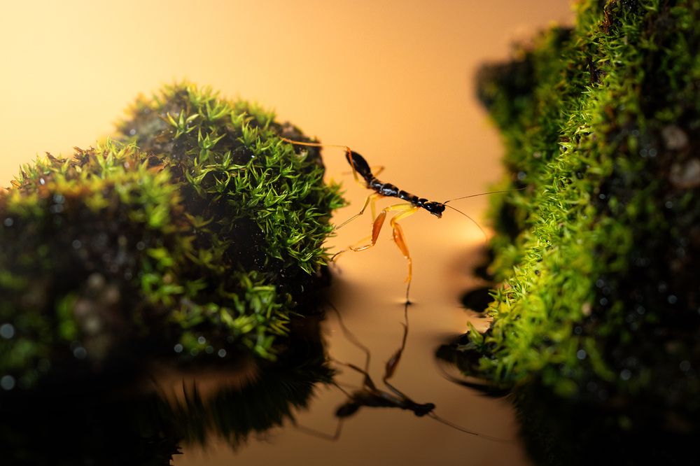 Фотография автора Tran Anh Tuan