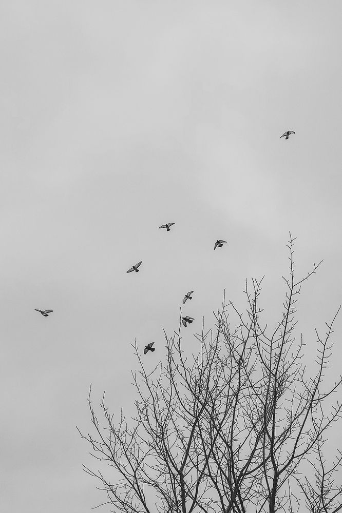 Photograph by Ирина Строкова