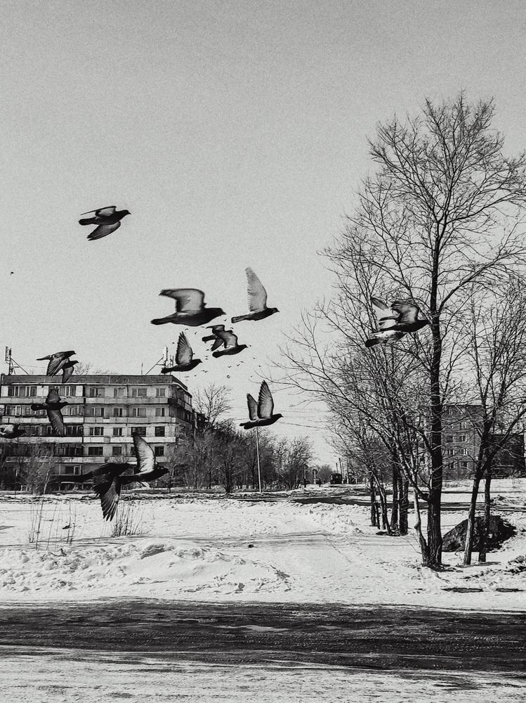 Photograph by Ирина Строкова