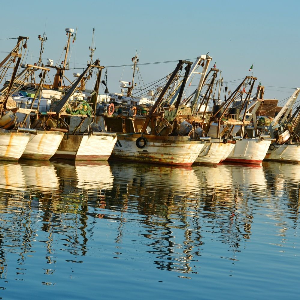 Фотография автора Vincenzo Tedesco