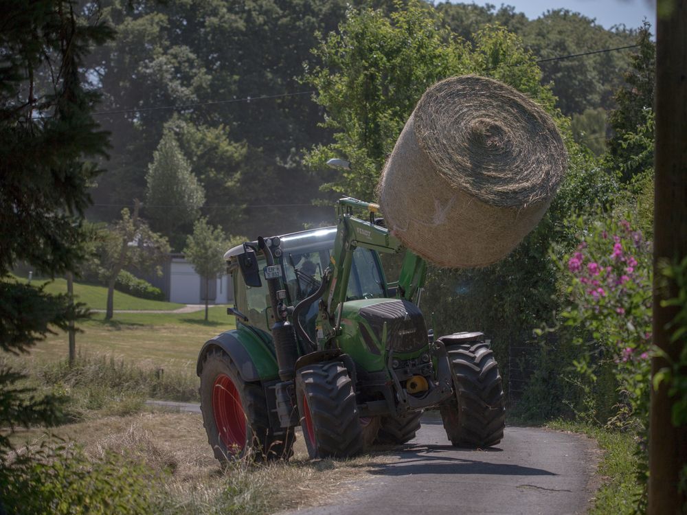 Фотография автора Uljana Kuchar