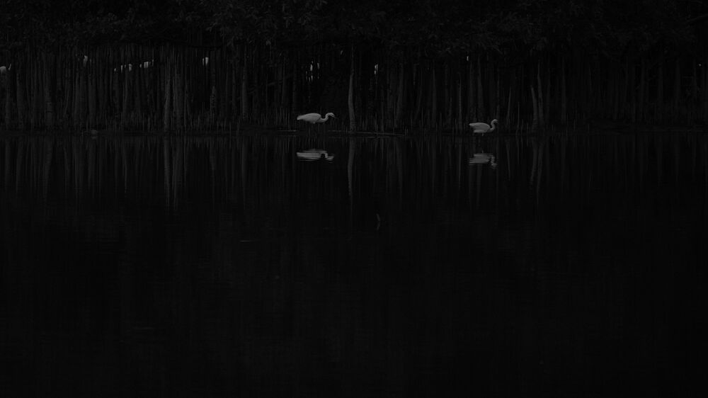 Фотография автора Nam Phạm