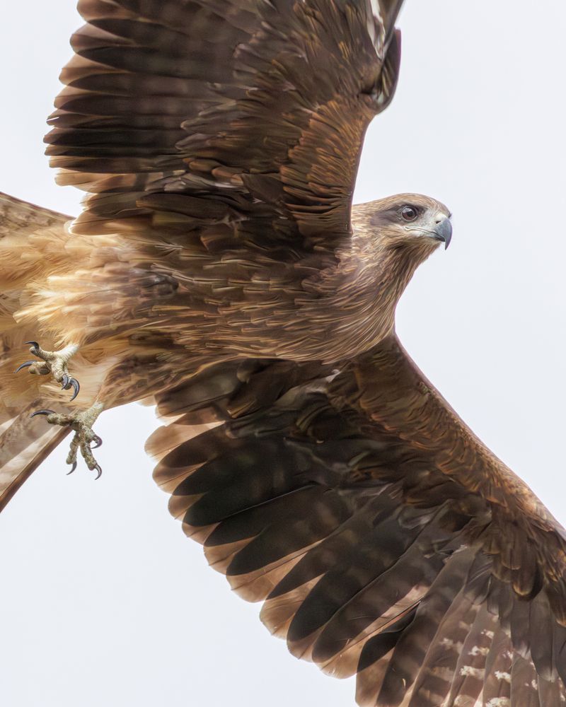 Photograph by KOHAGI