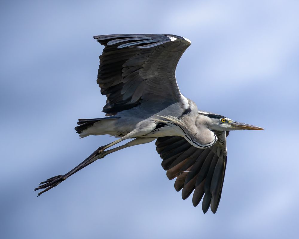 Photograph by KOHAGI