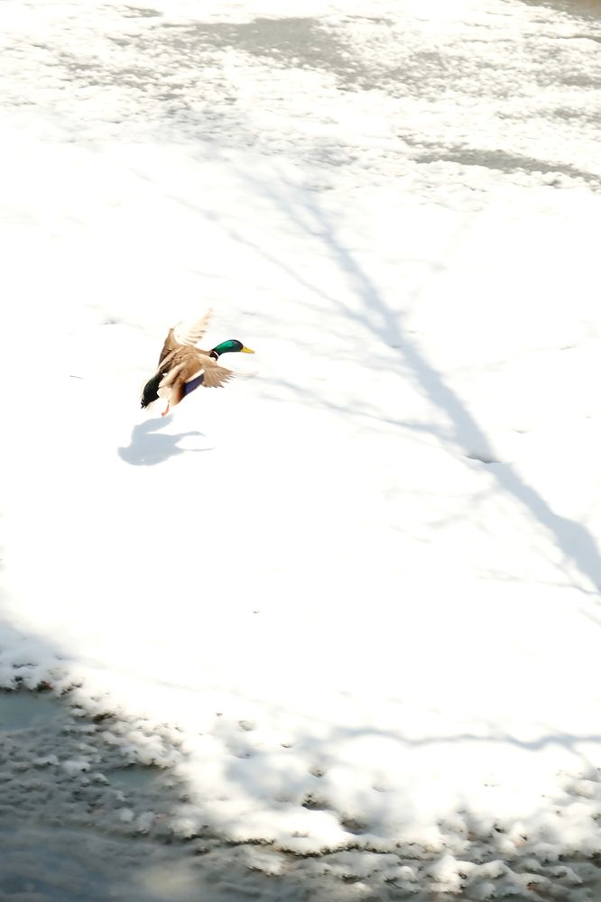 Photograph by Артём Воронин