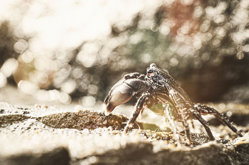 Photograph by Vladimir Polivanov