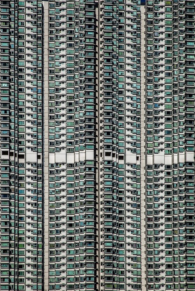 Человейник