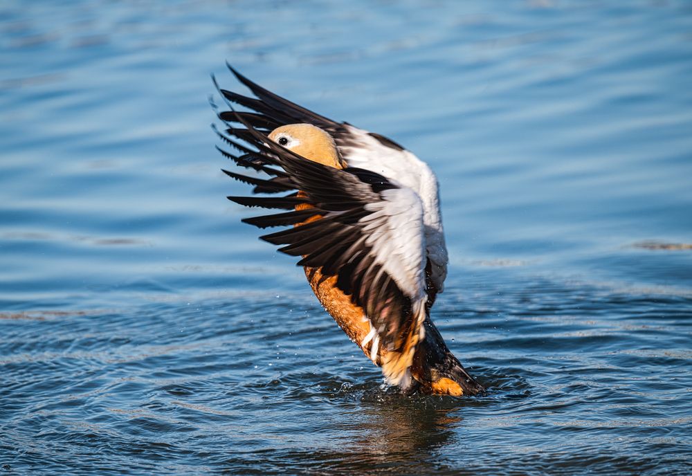 Photograph by Мария Ирешева