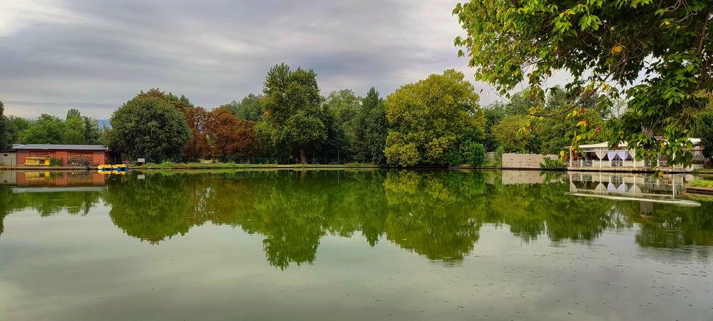 Фотография автора Елена Стоянова