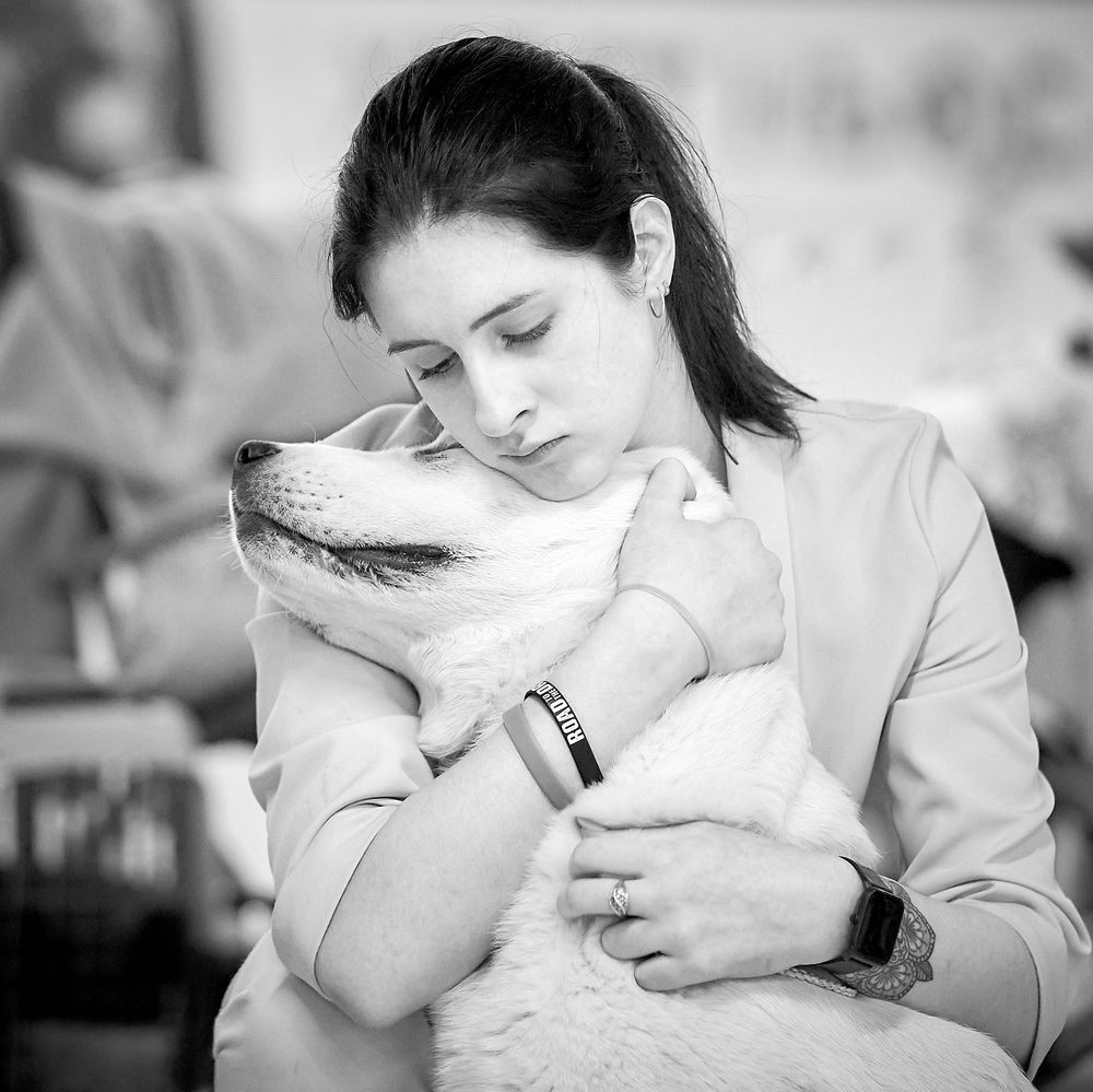 Photograph by Андрей Некрашевич