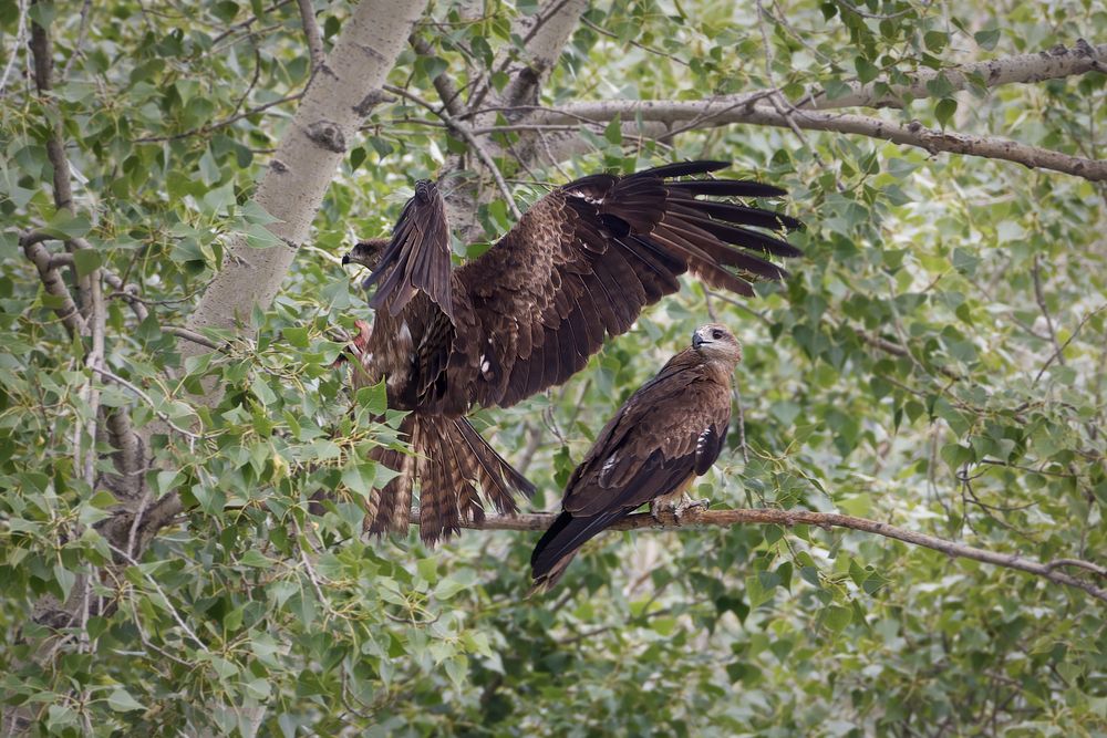Photograph by Александр Перегудов
